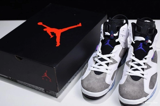 Jordan 6 Grey Flint CI3125-100 Air 0801